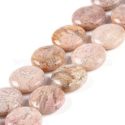 Natural Cherry Blossom Agate Beads Strands&nbsp;G-L246-24