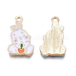 Alloy Enamel Pendants&nbsp;PALLOY-N170-031C-NR