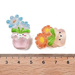 Translucent Resin Decoden Cabochons&nbsp;RESI-S04-03