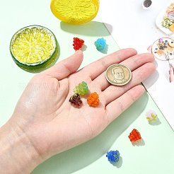 8個8スタイル手作りランプワークビーズ  ブドウ/ラズベリー  ミックスカラー  12.5~13x12.5~13x12.5~13mm  穴：1.4~1.6mm  1個/スタイル&nbsp;LAMP-CJ0002-22