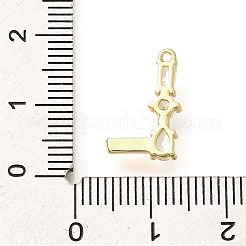 Brass Micro Pave Cubic Zirconia Pendants&nbsp;KK-M310-01G-12