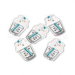 Transparent Printed Acrylic Pendants&nbsp;TACR-G042-01B