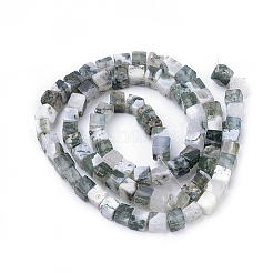 Natural Tree Agate Beads Strands&nbsp;X-G-R451-02