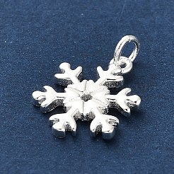 925 Sterling Silver Pendants&nbsp;LS-FIND-Z069-04S-B