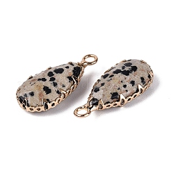 Natural Dalmatian Jasper Faceted Pendants&nbsp;G-Q606-104G-05