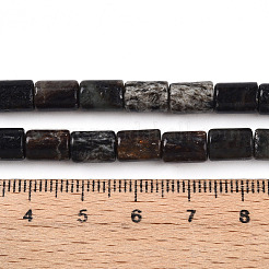 Natural Biotite Beads Strands&nbsp;G-T140-57