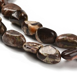 Natural Ocean Jasper Beads Strands&nbsp;G-P497-01E-76