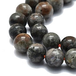 Natural Fluorescent Syenite Rock(Glow under UV Light) Beads Strands&nbsp;G-G789-02B