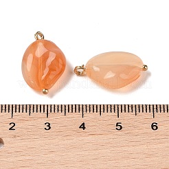 アクリルパーツ  天然石風  真鍮のループを有します  オーバル  サンゴ  21.5x13.5x6mm  穴：2mm&nbsp;MACR-C033-04E
