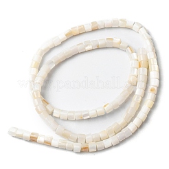 Natural Freshwater Shell Beads Strands&nbsp;SHEL-K006-07
