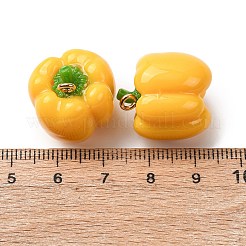 Imitation Vegetable Resin Pendants&nbsp;RESI-K033-03A-01