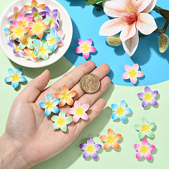 48個6色不透明樹脂カボション  花  ツートン  ミックスカラー  27.5x29x7mm  8個/カラー&nbsp;RESI-SC0006-25