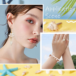 4 Strands 2 Styles Natural Spiral Shell Beads Strands&nbsp;SHEL-PH0001-45