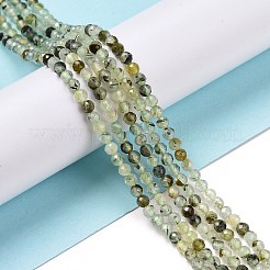 Natural Prehnite Beads Strands&nbsp;G-C009-A20