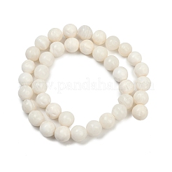 Natural White Shell Beads Strands&nbsp;BSHE-U002-01
