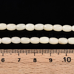 Natural White African Opal Beads Strands&nbsp;G-N346-02A-10