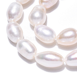 天然養殖淡水パールビーズ連売り  ライス  貝殻色  10~13x7.9~8.4mm  穴：0.7~0.8mm  約16~17個/連  7.09インチ（18cm）&nbsp;PEAR-N012-07R