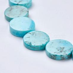 Natural Magnesite Beads Strands&nbsp;TURQ-K003-16
