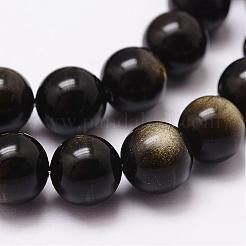 Natural Golden Sheen Obsidian Beads Strands&nbsp;G-D838-8mm-05
