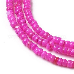 Natural Freshwater Shell Beads Strands&nbsp;SHEL-P017-01B-01
