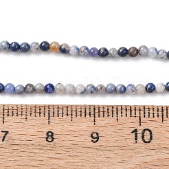 Natural Blue Spot Jasper Beads Strands&nbsp;G-Z116-A02-2mm