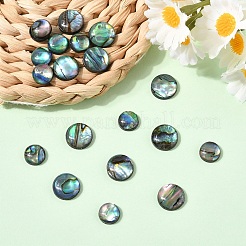 20Pcs 2 Styles Natural Paua Shell Cabochons&nbsp;SHEL-YW0001-09