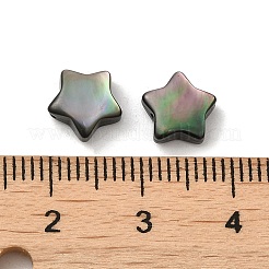 Natural Black Lip Shell Beads&nbsp;SHEL-M019-05