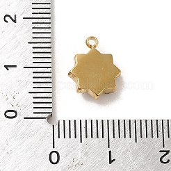304 Stainless Steel with Crystal Glass Rhinestone Charms&nbsp;STAS-L022-264G-01