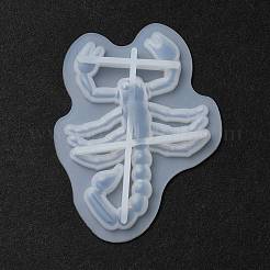 DIY Display Silicone Molds&nbsp;LS-DIY-P074-07C