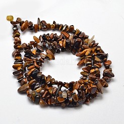天然の黄色タイガーアイチップビーズ連売り  4~12x4~7x2~5mm  穴：1mm  約33.8インチ&nbsp;X-G-L444-01