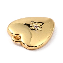 Brass Micro Pave Cubic Zirconia Charms&nbsp;ZIRC-I054-14G-03