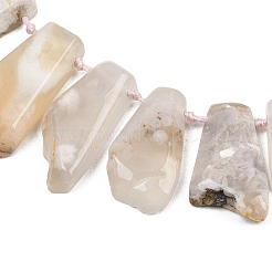 Natural Cherry Blossom Agate Beads Strands&nbsp;G-B187-B02-01
