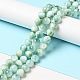 Natural Glass Beads Strands&nbsp;G-I247-32C-2