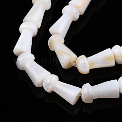 Natural Freshwater Shell Beads Strands&nbsp;SHEL-N026-213