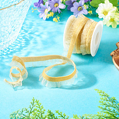 5 Yards Velvet Organza Ribbon&nbsp;SRIB-TA0001-36C