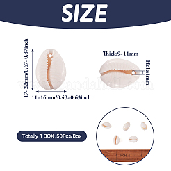 天然カウリーシェルビーズ  貝殻色  17~22x11~16x9~11mm  穴：1mm  約50個/箱&nbsp;BSHE-TA0001-01