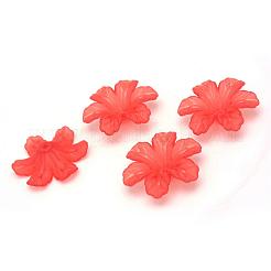 Transparent Acrylic Beads&nbsp;FACR-Q009-09