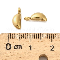 304 Stainless Steel Charms&nbsp;STAS-M017-14B-G-1