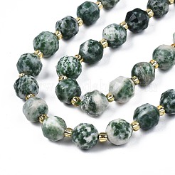Natural Green Spot Jasper Beads Strands&nbsp;G-N326-100-07