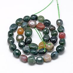 Natural Indian Agate Beads Strands&nbsp;G-R445-8x10-07