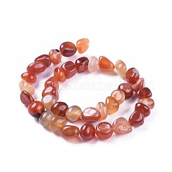 Natural Agate Beads Strands&nbsp;G-I256-01F