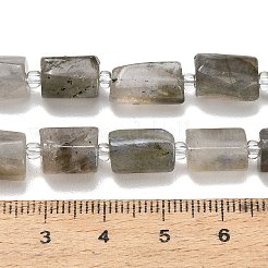 Natural Labradorite Beads Strands&nbsp;G-F836-B06-01