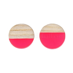 Resin & Wood Stud Earrings&nbsp;EJEW-N017-003A