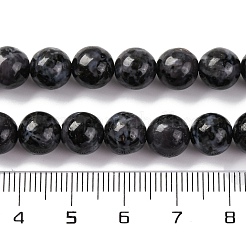 Natural Feldspar Beads Strands&nbsp;G-NH0033-A01-02