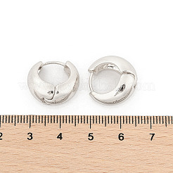 女性のための真鍮のフープピアス  リング  プラチナ  16x9mm&nbsp;EJEW-U041-02P