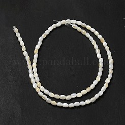 天然淡水シェルビーズ連  オーバル  ベージュ  4x3mm  穴：0.9mm  約96~98個/連  15.24~15.43''（38.7~39.2センチメートル）&nbsp;BSHE-E026-16A