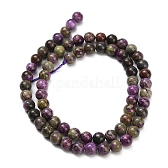 Natural Atlantisite Stichtite Beads Strands&nbsp;G-Z110-C06-6mm