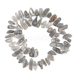 天然石ラブラドライトビーズ連売り  グレードA  チップ  シードビーズで  11~19x4~7x4~7mm  穴：0.8mm  約56~58個/連  15.55~15.75インチ（39.5~40cm）&nbsp;G-C273-B01