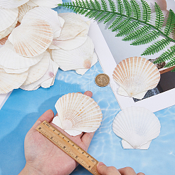 500G Natural Shell Ornaments&nbsp;DJEW-FH0001-35B