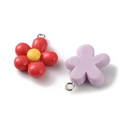 Opaque Resin Pendants&nbsp;CRES-B036-02